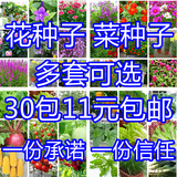 花卉种子蔬菜种子套餐包邮四季易种阳台盆栽组合夏天好养易活