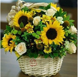 父亲节病人客户向日葵花束鲜花速递上海浦东实体店同城送花送礼物