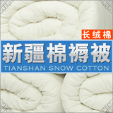 正宗新疆棉花棉褥子垫被棉被床褥床垫新棉花长绒棉棉芯棉胎棉被褥