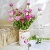 家庭办公室日常鲜花【单品花束 单次尝鲜】上海鲜花同城速递配送
