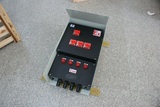 BXM51 防爆防腐动力配电箱  防爆配电柜  防爆配电箱  3回路证书