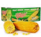 丰园山庄 出口水果玉米棒160g*12根真空包装 新鲜甜熟玉米穗整箱