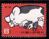 中国盖销特40养猪5-1