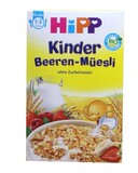 德国喜宝Hipp有机儿童水果麦片米粉草莓香蕉味200G 1-3岁 （3532