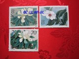 1986年JT邮票/T111 珍稀濒危木兰科植物<本店长期高价收购邮票>