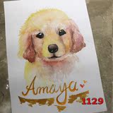 1129宠物画像定制狗狗的画像猫咪肖像画个性照片转手绘彩色水彩画