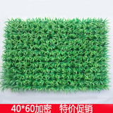 仿真草坪加密 假草坪 假草皮 塑料草坪地毯草坪植物墙装饰品植物