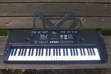 爱尔科61键电子琴ARK-2173力度钢琴键带midi功能黑白两色可选