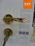 德国EKF伊可夫Z5-5562PVD金色房门锁室内锁具简约现代亮金房门锁