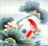 中国画字画年年有余鲤鱼荷花花鸟工笔四尺斗方送礼收藏画芯不包邮