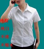 特价纯棉纯白女衬衫 收腰短袖职业衬衫 不透不缩水 有小小码