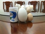 杰泰 鹅蛋纯天然有机散养 鹅蛋 笨鸡蛋包邮农家促销孕妇婴儿老人