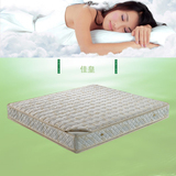 弹簧床垫 椰棕床垫 1.5-/1.8米 席梦思 软硬两用床垫 双面可用垫