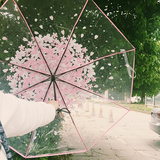 日本樱花雨伞晴雨伞透明折叠三折雨伞韩国樱花树萌伞文艺小清新夏