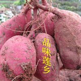农家新鲜红薯地瓜干红心番薯板栗味迷你薯紫红薯紫心薯现挖现卖