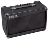 正品TS 乐器音箱50W吉他音箱 GM-450A 吉他音箱 电吉他专用音箱