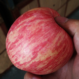10斤新鲜水果苹果烟台栖霞吃的有机农家纯天然脆甜山东红富士批发