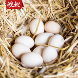 【初产蛋30枚】皖北散养土鸡蛋 初生蛋初产蛋 粮食喂养无公害