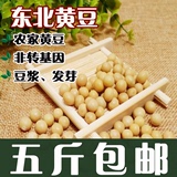 新货东北黄豆 新非转基因大豆手工挑选 豆芽豆浆豆腐笨大豆250g