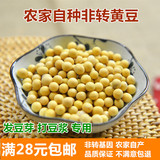 小黄豆 新货农家有机自产非转基因杂粮东北特产250g发豆芽打豆浆