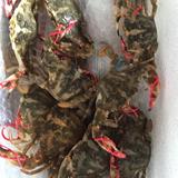 青岛特产，鲜活石甲红螃蟹，赤甲红，花盖蟹白盖 鲜活螃蟹