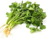 绿色蔬菜 新鲜蔬菜 净菜 香菜 健康 有机方式种植生态菜同城配送