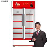 阪神753升立式展示柜 家用商用冷藏冰柜双门冷柜陈列柜饮料柜