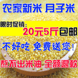 2015年新米食用黄小米无添加农家有机杂粮小米粥粮食小黄米月子米