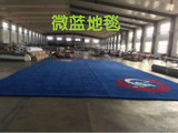 加厚武术训练比赛专用地毯耐磨防摔瑜伽体操健身房舞蹈教室包邮
