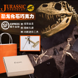 日本进口创意侏罗纪恐龙考古巧克力礼盒装送男女朋友生日礼物包邮