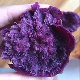 广西迷你小紫薯新鲜 农家红番薯粗粮地瓜山芋红薯5斤包邮
