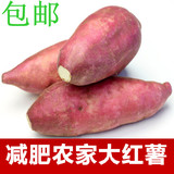 纯绿色农家自种有机新鲜黄番薯 红薯 生地瓜 甜山芋 5斤起拍