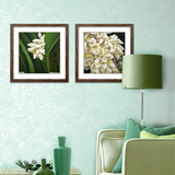 田园植物花卉装饰画客厅卧室书房沙发墙简约有框壁画白花软装挂画