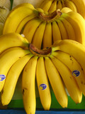 新鲜水果 进口香蕉 海南香蕉 芭蕉 帝王蕉 香蕉杭城超曦水果