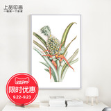 上品印画菠萝花原版简约北欧玄关小清新植物花卉现代装饰画有框画