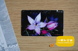 [日本田村卡]日本电话磁卡 NTT收藏卡 花卉371071