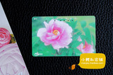 [日本田村卡]日本电话磁卡NTT卡收藏卡 花卉111019