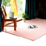 160*230丝毛柔软居家布艺地毯 客厅茶几 卧室床边毯 飘窗毯 定制