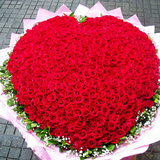 999朵520朵365朵红玫瑰花鲜花粉香槟玫瑰同城速递深圳北京上海等