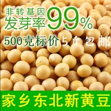 东北纯农家有机笨黄豆500克 自种发豆芽打豆浆 非转基因