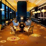 天雅 满铺地毯 酒店餐厅咖啡厅地毯E 尼龙印花系列工程地毯