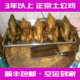 古蔺麻辣鸡卤鸡椒麻鸡舌尖上的中国四川特产小吃美食休闲零食食品