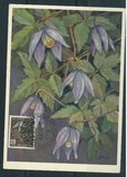 【新宝贝】L2141瑞士1949植物花卉高山铁线莲极限片