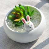 玩泥家|小兔子手工陶瓷多肉植物花盆 办公室创意摆件礼品阳台盆栽