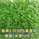 加密人工草坪塑料草坪阳台假草皮幼儿园人造草坪仿真草坪地毯户外