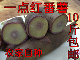 广州南沙新垦一点红番薯新鲜红薯地瓜紫薯农家自产（10斤）包邮