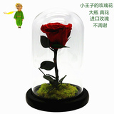 小王子的玫瑰花  永生花玻璃罩情人节送男女朋友生日创意礼物包邮