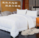 星级宾馆酒店用全棉防雨布整张羽丝棉被子 四季被冬被芯 批发特价