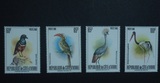 科特迪瓦  1980年 动物 鸟 4全