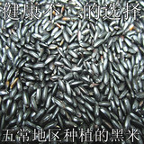 东北五谷杂粮黑龙江五常特产特级黑大米10斤农家自产纯天然